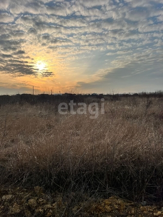 
  Продам  участок ИЖС, 25 соток, Щепкин

. Фото 5.