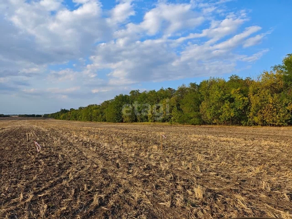 
  Продам  участок ИЖС, 4 соток, Красный

. Фото 4.