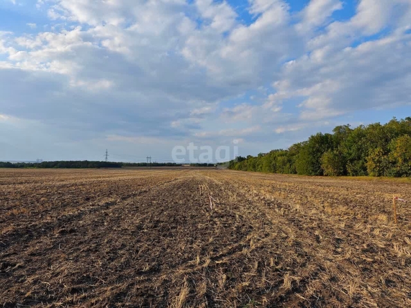 
  Продам  участок ИЖС, 5.5 соток, Красный

. Фото 5.