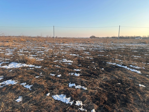 
  Продается земельный участок, 6 соток, село Кулешовка
. Фото 4.