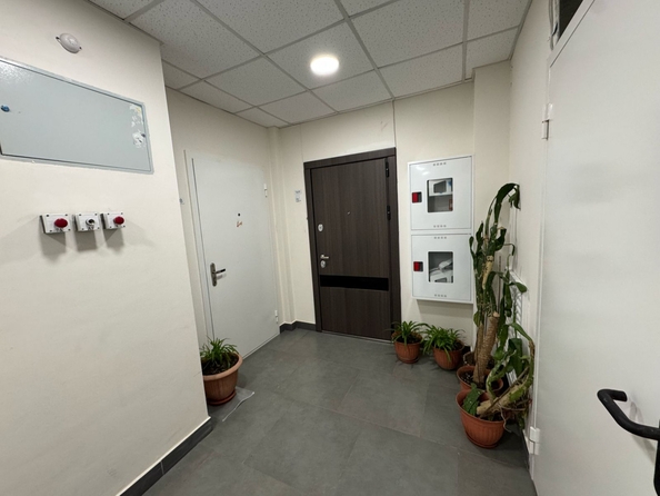
  Продается 1-комн. квартира, 46 м², Венеры ул, д. 23
. Фото 2.
