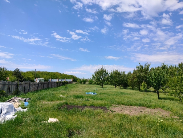 
  Продается земельный участок, 16 соток, село Султан-Салы
. Фото 14.