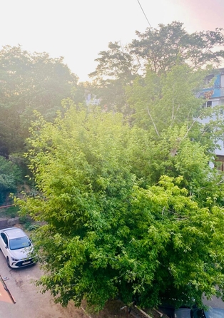 
  Продается 1-комн. квартира, 32 м², Минераловодская ул, д. 128
. Фото 10.