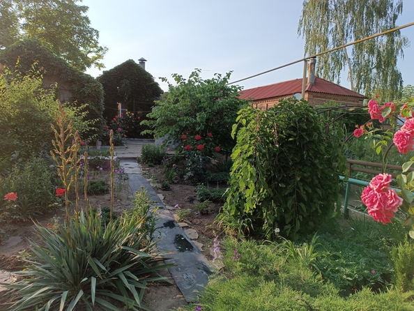 
  Продается дом, 80 м², Батайск
. Фото 41.