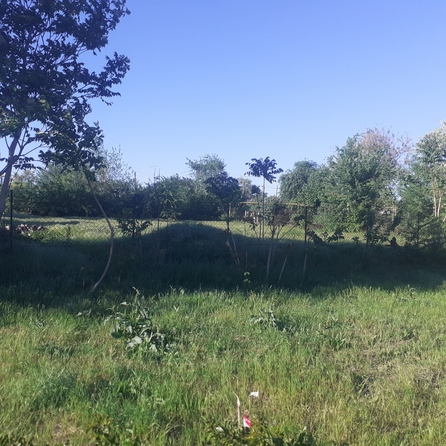 
  Продается земельный участок, 8 соток, хутор Недвиговка
. Фото 10.