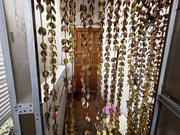 
  Продается дом, 105.7 м², Ростов-на-Дону
. Фото 21.