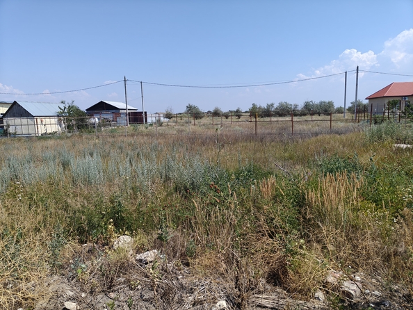 
  Продается земельный участок, 5 соток, хутор Городище
. Фото 6.