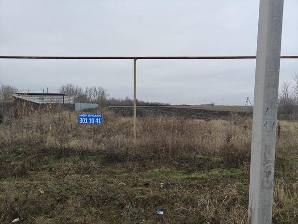 
  Продается земельный участок, 50 соток, село Головатовка
. Фото 3.