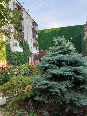 
  Продается 2-комн. квартира, 44 м², Университетский пер, д. 65
. Фото 25.