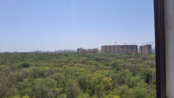 
  Продается 1-комн. квартира, 35 м², Раздорская ул, д. 2а
. Фото 13.
