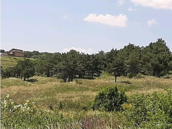 
  Продается земельный участок, 9 соток, хутор Александровка
. Фото 1.