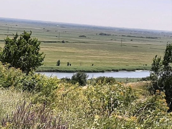 
  Продается земельный участок, 9 соток, хутор Александровка
. Фото 3.