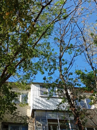 
  Продается 1-комн. квартира, 30 м², 1-я Баррикадная ул, д. 17/1
. Фото 12.