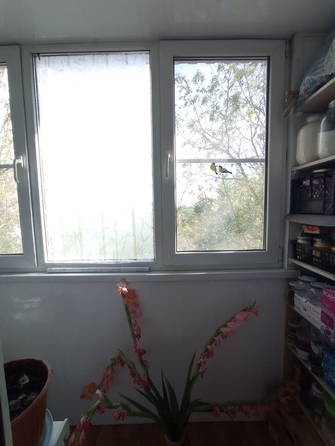 
  Продается 1-комн. квартира, 30 м², 1-я Баррикадная ул, д. 17/1
. Фото 13.