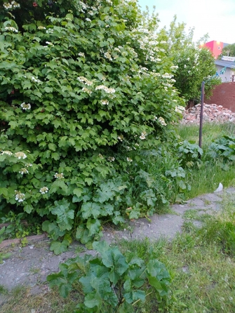 
  Продается дом, 74 м², Ростов-на-Дону
. Фото 9.