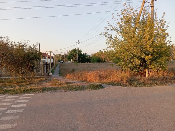 
  Продается земельный участок, 17 соток, село Кулешовка
. Фото 1.