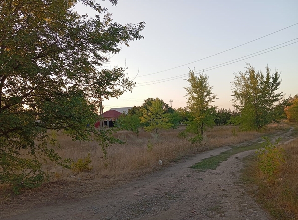 
  Продается земельный участок, 17 соток, село Кулешовка
. Фото 3.
