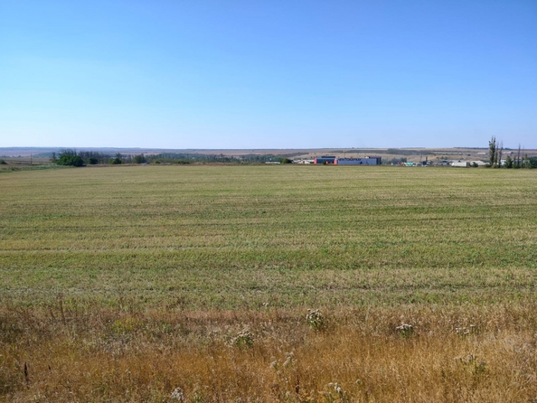 
  Продается земельный участок, 900 соток, хутор Пушкин
. Фото 5.