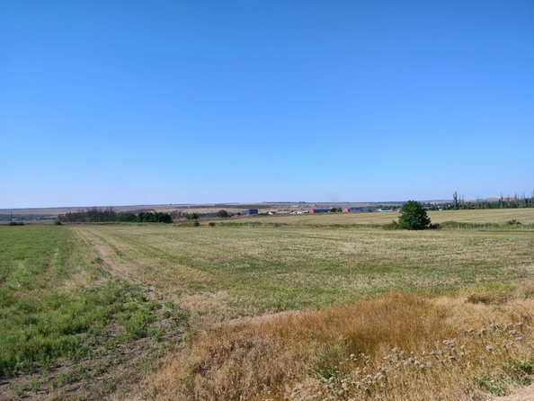 
  Продается земельный участок, 900 соток, хутор Пушкин
. Фото 13.