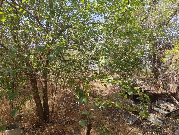 
  Продается земельный участок, 14 соток, село Синявское
. Фото 24.