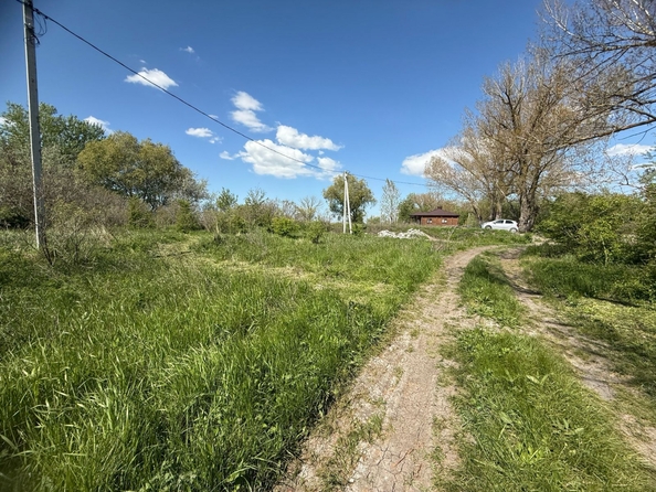 
  Продается земельный участок, 7.5 соток, хутор Рогожкино
. Фото 7.