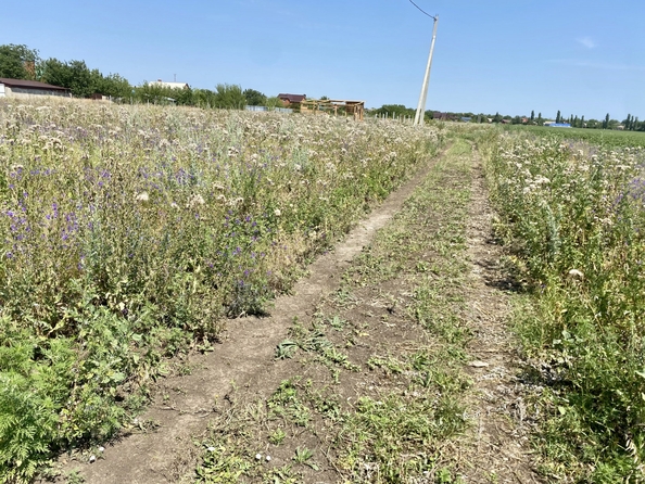 
  Продается земельный участок, 8 соток, поселок Мокрый Батай
. Фото 3.