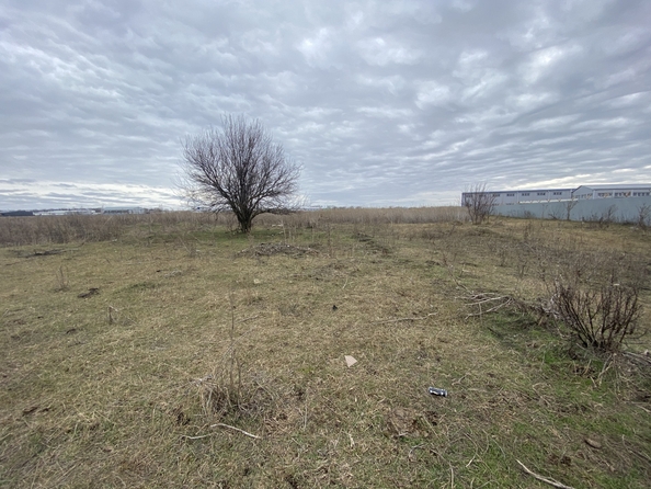 
  Продается земельный участок, 100 соток, хутор Маяковского
. Фото 1.