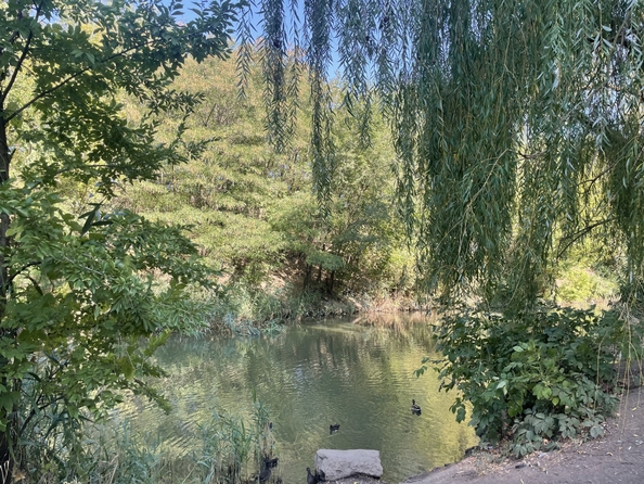 
  Продается 2-комн. квартира, 57 м², Скачкова ул, д. 64
. Фото 17.