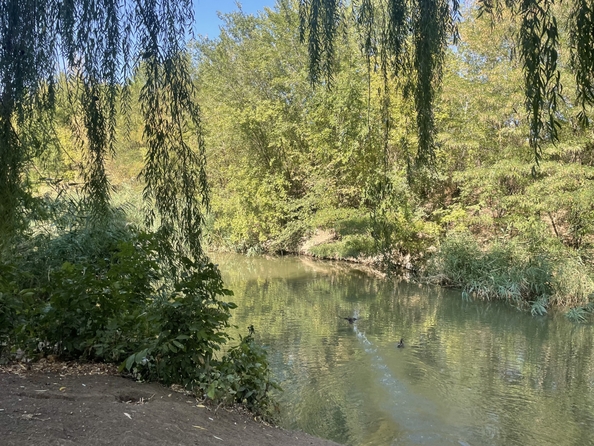 
  Продается 2-комн. квартира, 57 м², Скачкова ул, д. 64
. Фото 18.