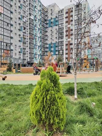 
  Продается студия, 26 м², Солженицына пр-кт, д. 13
. Фото 2.