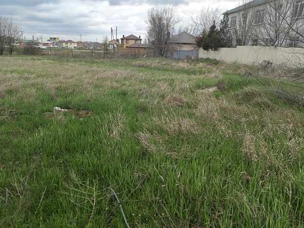 
  Продается земельный участок, 20 соток, хутор Красный Крым
. Фото 4.