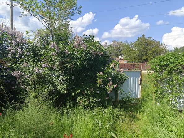 
  Продается коттедж, 57 м², станица Мечетинская
. Фото 11.