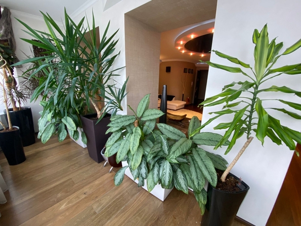 
  Продается 4-комн. квартира, 240 м², Социалистическая ул, д. 140
. Фото 23.