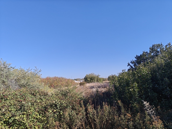 
  Продается земельный участок, 6 соток, поселок Темерницкий
. Фото 2.