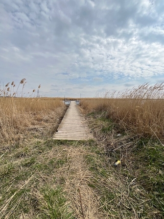 
  Продается дом, 155 м², село Новониколаевка
. Фото 12.