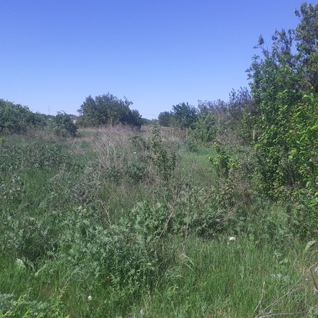 
  Продается земельный участок, 12 соток, хутор Мержаново
. Фото 1.