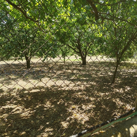 
  Продается земельный участок, 5.5 соток, хутор Шмат
. Фото 12.