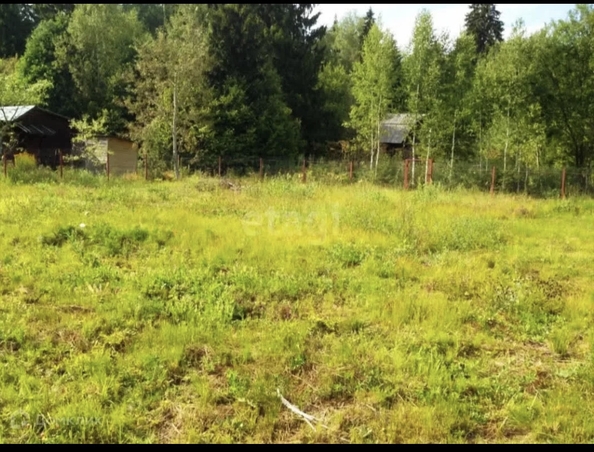 
  Продается земельный участок, 6 соток, хутор Большой Лог
. Фото 1.