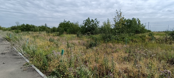 
  Продается земельный участок, 6 соток, поселок Рассвет
. Фото 3.