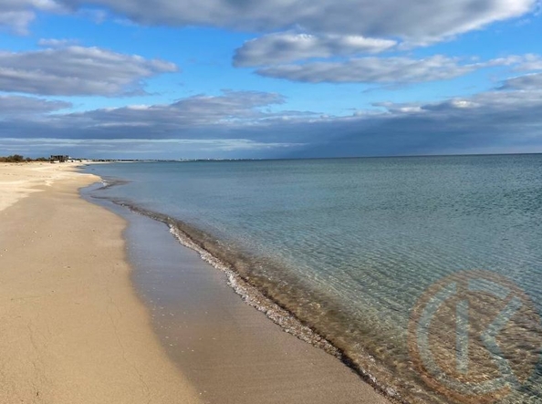 
  Продается готовый бизнес 1344 м². Фото 12.