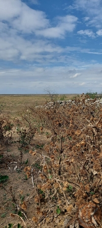 
  Продается земельный участок 9 соток. Фото 2.