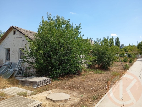 
  Продается земельный участок 10 соток. Фото 7.