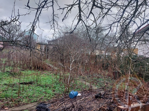 
  Продается земельный участок 8 соток. Фото 6.