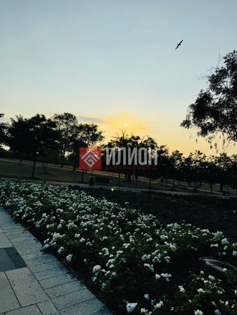 
  Продается земельный участок 11 соток. Фото 7.