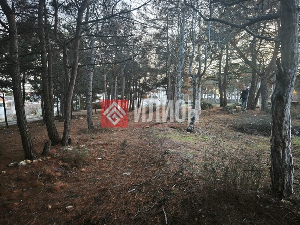 
  Продается земельный участок 7.7 соток. Фото 9.