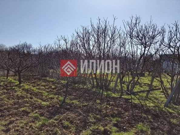 
  Продается земельный участок 15 соток. Фото 8.