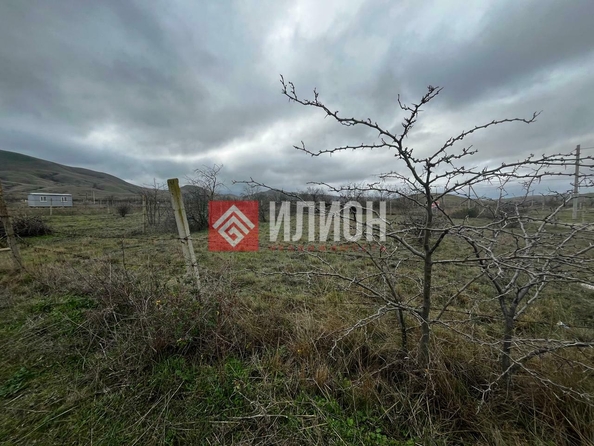 
  Продается земельный участок 6 соток. Фото 5.