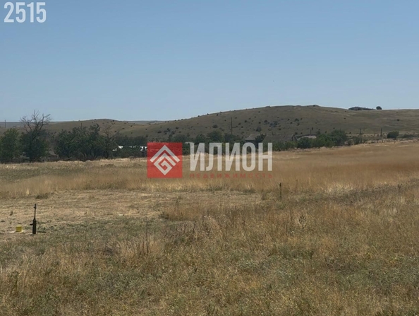 
  Продается земельный участок 98 соток. Фото 4.