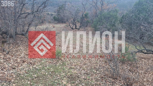 
  Продается земельный участок 5.2 соток. Фото 9.