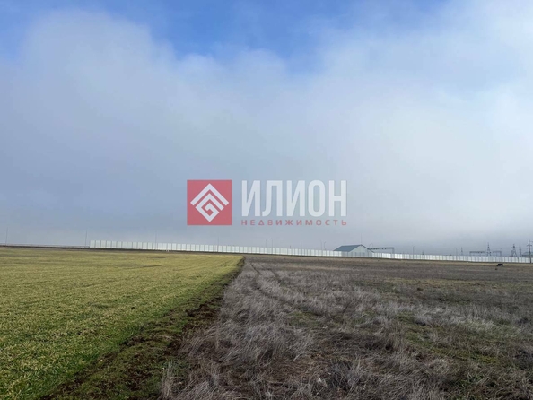 
  Продается земельный участок 850 соток. Фото 4.